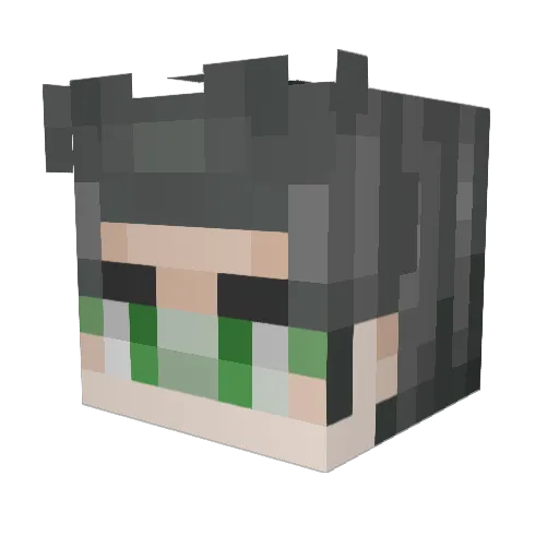 calvin266 Minecraft avatar head, 3D render