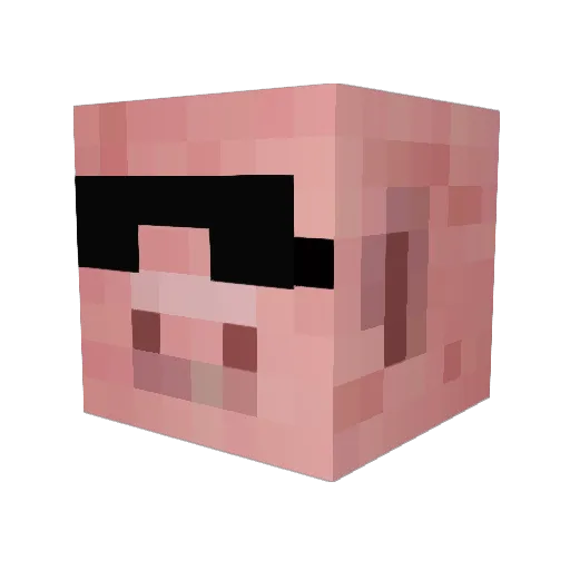 cam421 Minecraft avatar head, 3D render