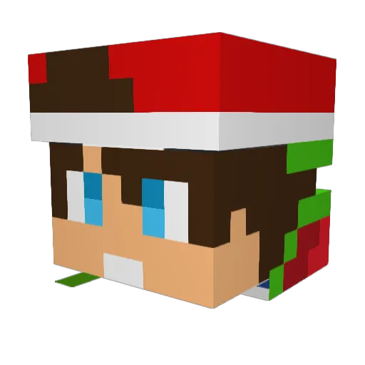 camD100 Minecraft avatar head, 3D render