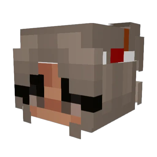 cam_2301 Minecraft avatar head, 3D render