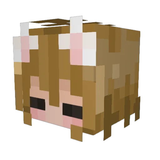 camaronesuwu Minecraft avatar head, 3D render