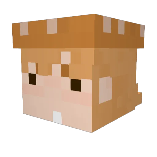 cambrians Minecraft avatar head, 3D render