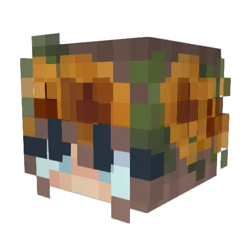 camchiche Minecraft avatar head, 3D render