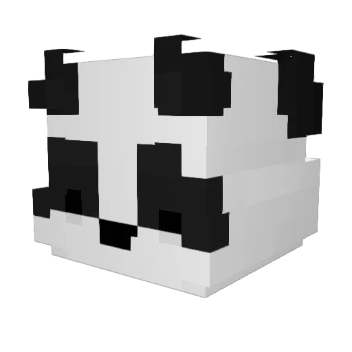 camcup_ Minecraft avatar head, 3D render