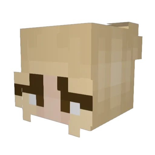 camden3 Minecraft avatar head, 3D render