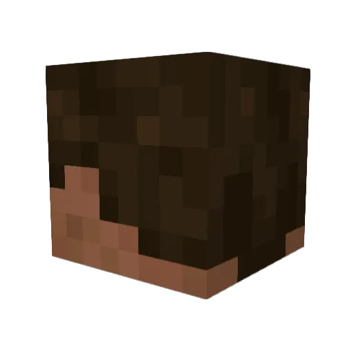 cameradzp Minecraft avatar head, 3D render