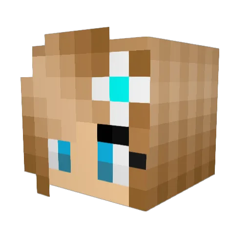 cameron550 Minecraft avatar head, 3D render