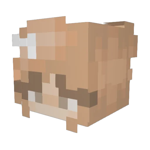 cameronalln2 Minecraft avatar head, 3D render