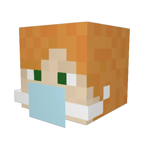 cameronl100 Minecraft avatar head, 3D render