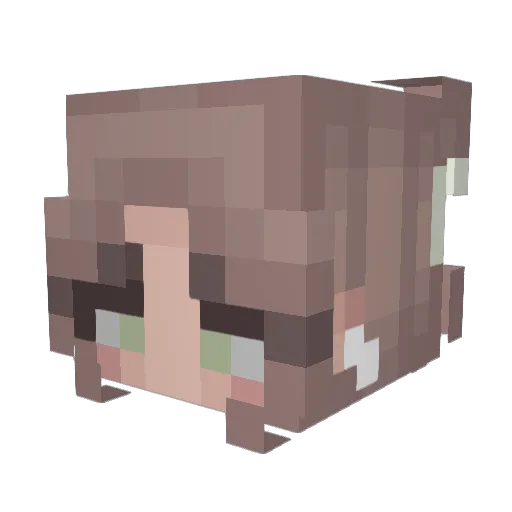 cameronnmac Minecraft avatar head, 3D render