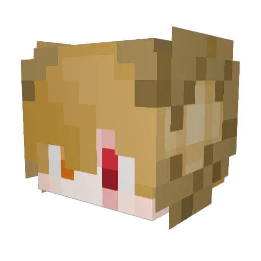 cameroon2009 Minecraft avatar head, 3D render