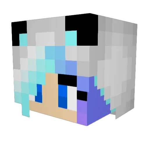 camgiscool Minecraft avatar head, 3D render