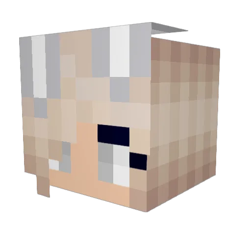 cami1164 Minecraft avatar head, 3D render