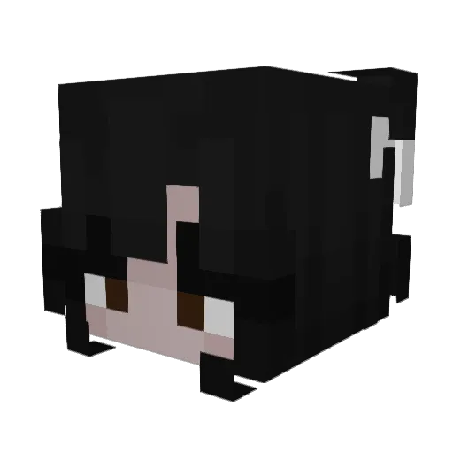 cami_01 Minecraft avatar head, 3D render