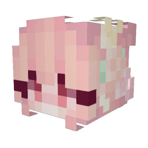 cami_1117 Minecraft avatar head, 3D render