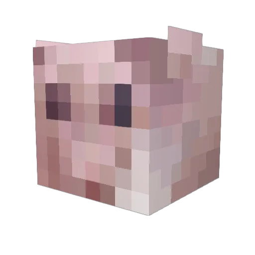 cami_zalez Minecraft avatar head, 3D render