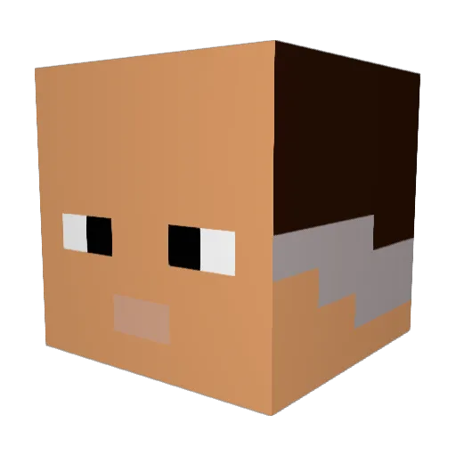 camiii312 Minecraft avatar head, 3D render