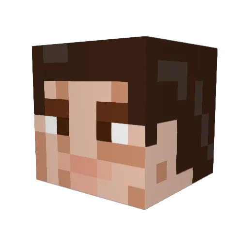 camikx2010 Minecraft avatar head, 3D render