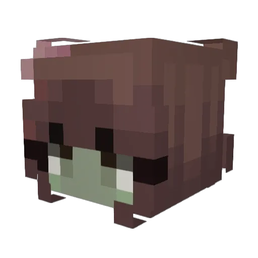 camilaw Minecraft avatar head, 3D render
