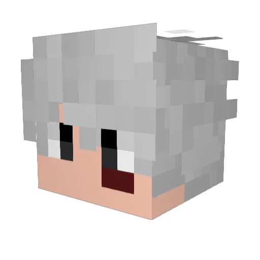 camisaGOSTOSO Minecraft avatar head, 3D render