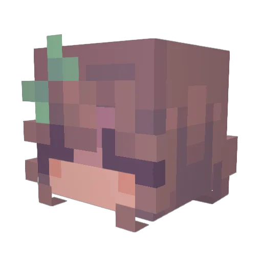 camly01 Minecraft avatar head, 3D render