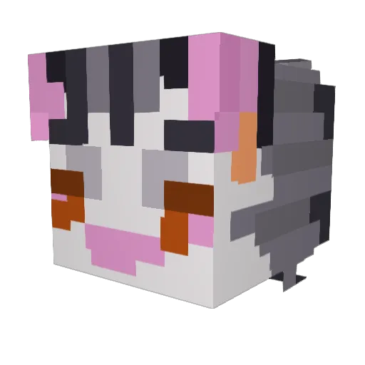 camman122255 Minecraft avatar head, 3D render