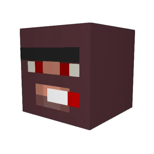 cammander19 Minecraft avatar head, 3D render