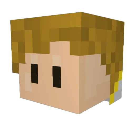 cammiejay Minecraft avatar head, 3D render