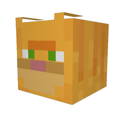 cammmm_____ Minecraft avatar head, 3D render