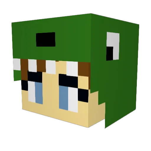 cammySashimi Minecraft avatar head, 3D render