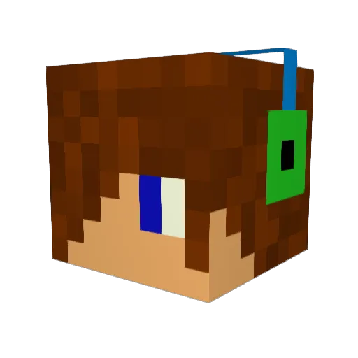 camo9999 Minecraft avatar head, 3D render