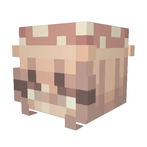camoflower Minecraft avatar head, 3D render