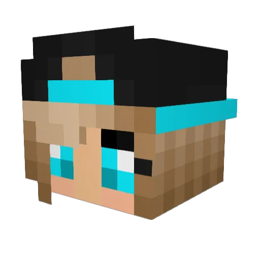 camogirl16 Minecraft avatar head, 3D render