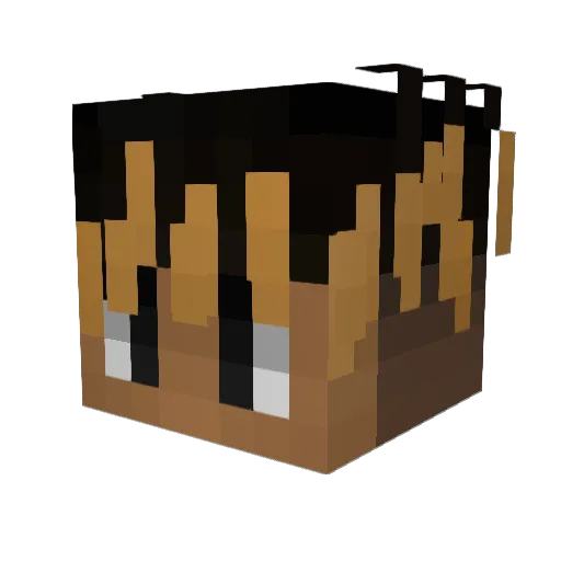 camoninjaboy Minecraft avatar head, 3D render