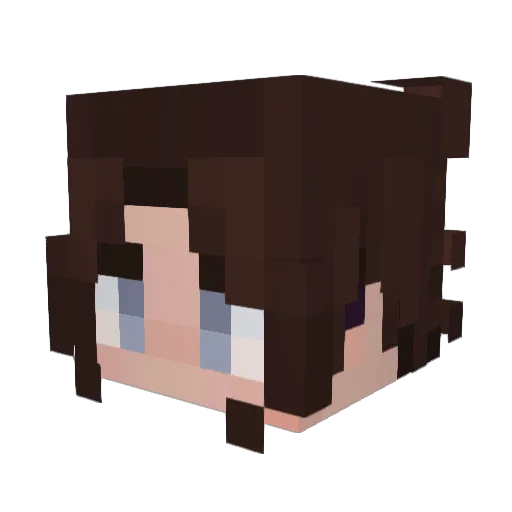 camotech0010 Minecraft avatar head, 3D render