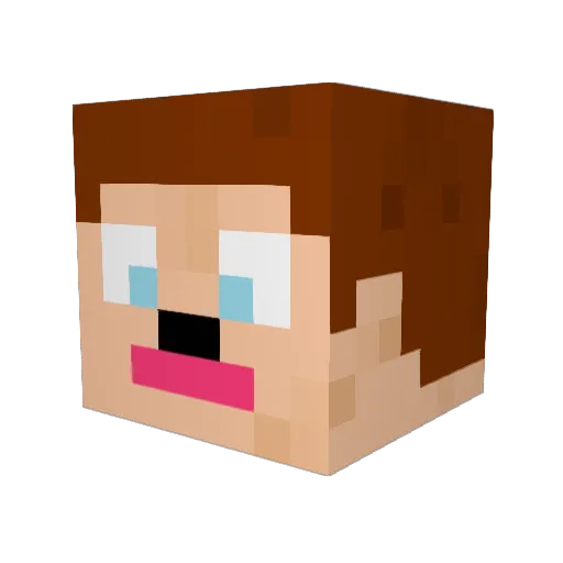 campbellfairs Minecraft avatar head, 3D render