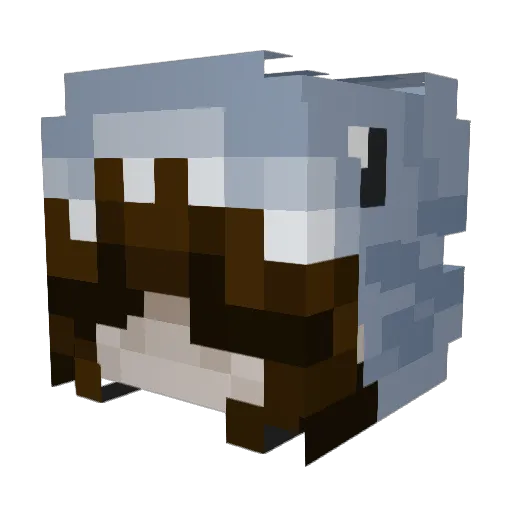 campellooo Minecraft avatar head, 3D render