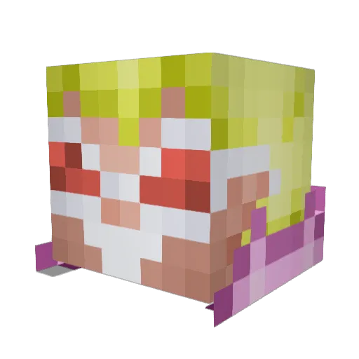 camper8880 Minecraft avatar head, 3D render