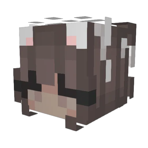 camperkids Minecraft avatar head, 3D render