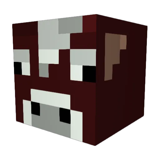 camperslayaX Minecraft avatar head, 3D render