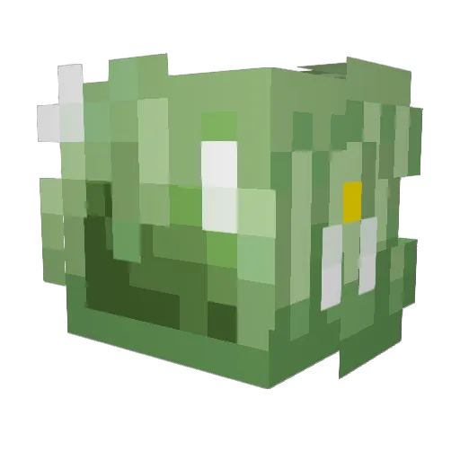 campfirey Minecraft avatar head, 3D render