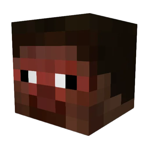 campingcarl9 Minecraft avatar head, 3D render
