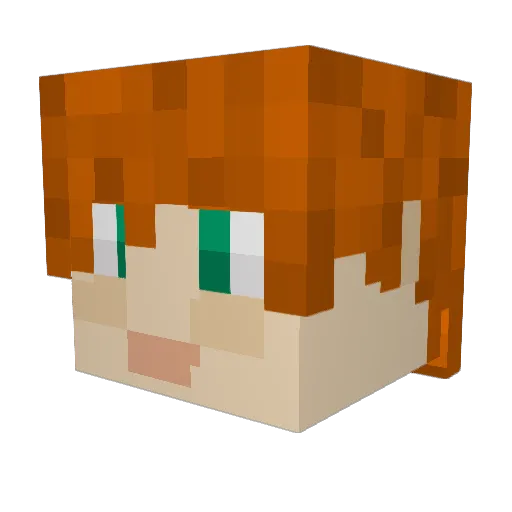 campinginger65 Minecraft avatar head, 3D render