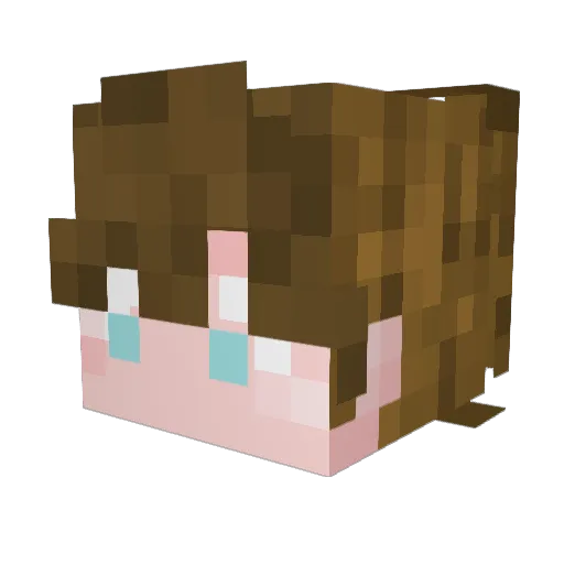 camponotus19 Minecraft avatar head, 3D render