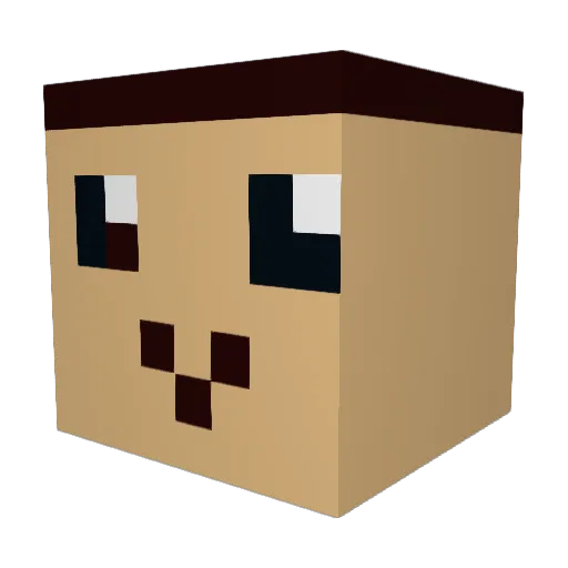 camren2 Minecraft avatar head, 3D render