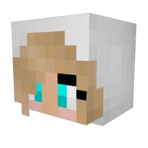 camrynelizabeth Minecraft avatar head, 3D render