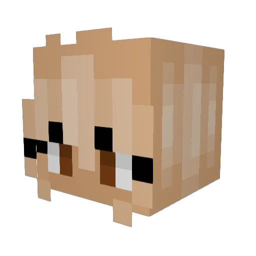 camrynxz Minecraft avatar head, 3D render