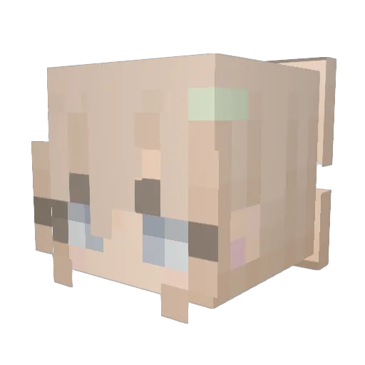 camsies4 Minecraft avatar head, 3D render