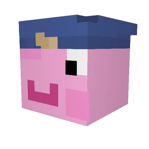 camsta111 Minecraft avatar head, 3D render
