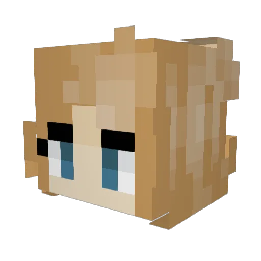 camstar13 Minecraft avatar head, 3D render